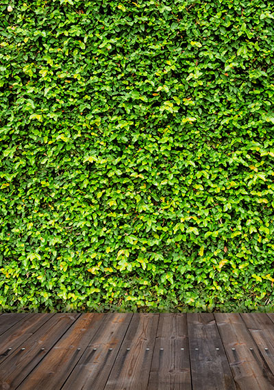 Muro verde para decoración exterior