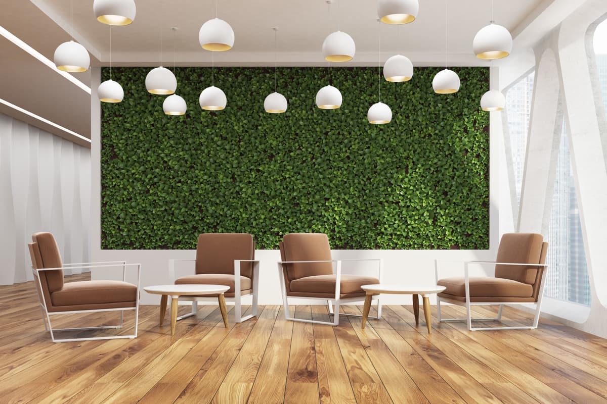 Muro verde decorativo en habitación con duela de madera